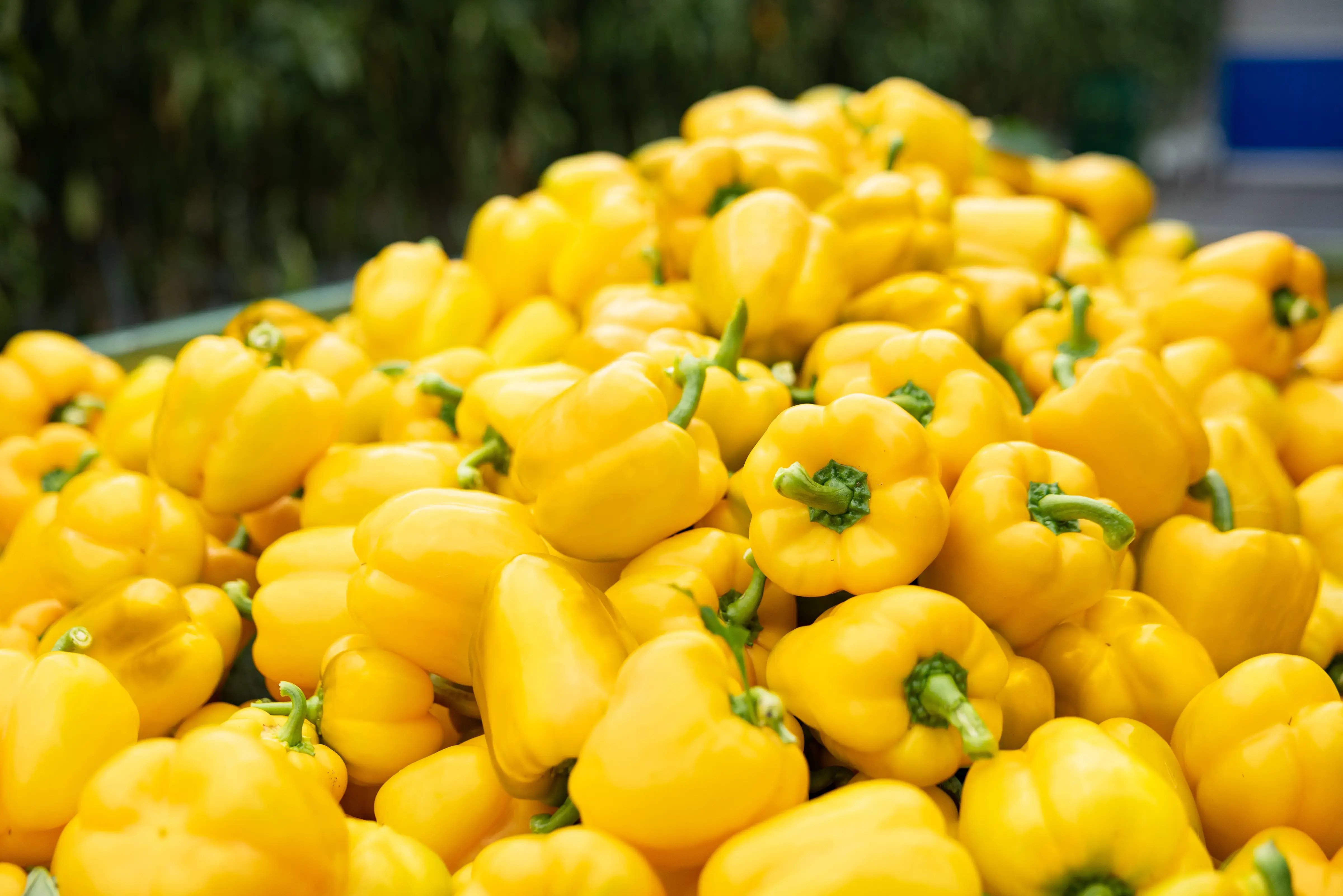 Yellow peppers