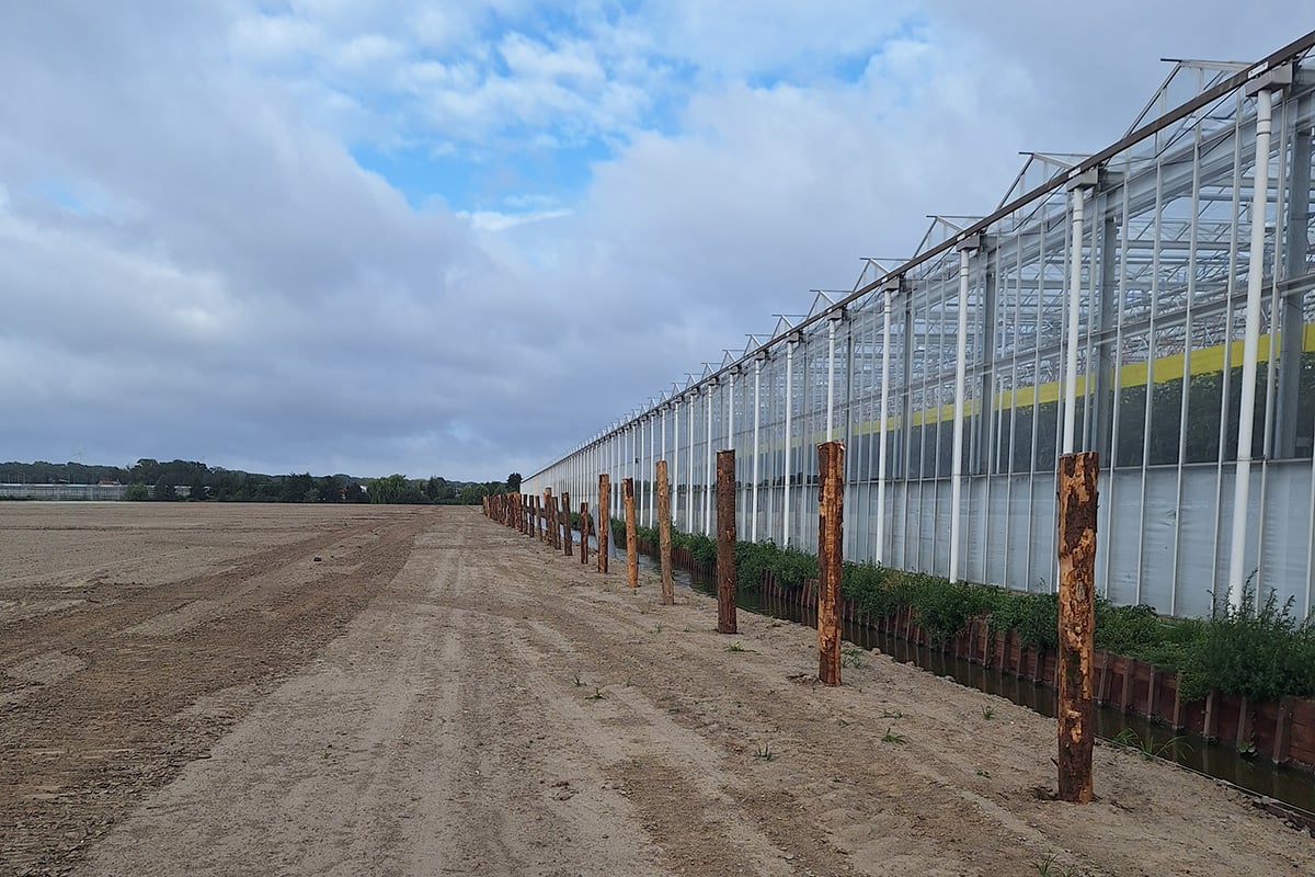 kubo-group-collaboration-underground-forest-wooden-foundation-piles-co2-storage-1