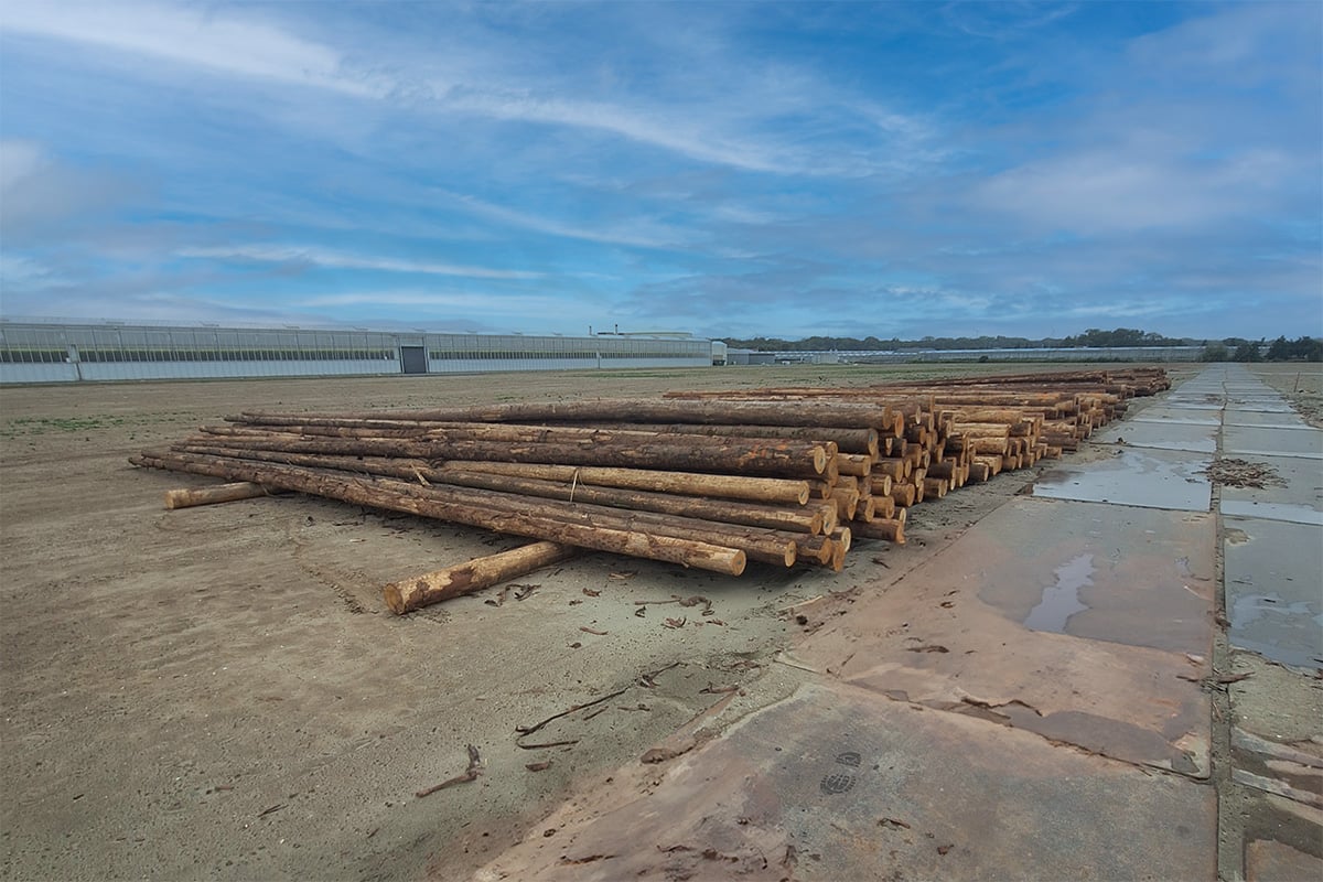 kubo-group-collaboration-underground-forest-wooden-foundation-piles-co2-storage