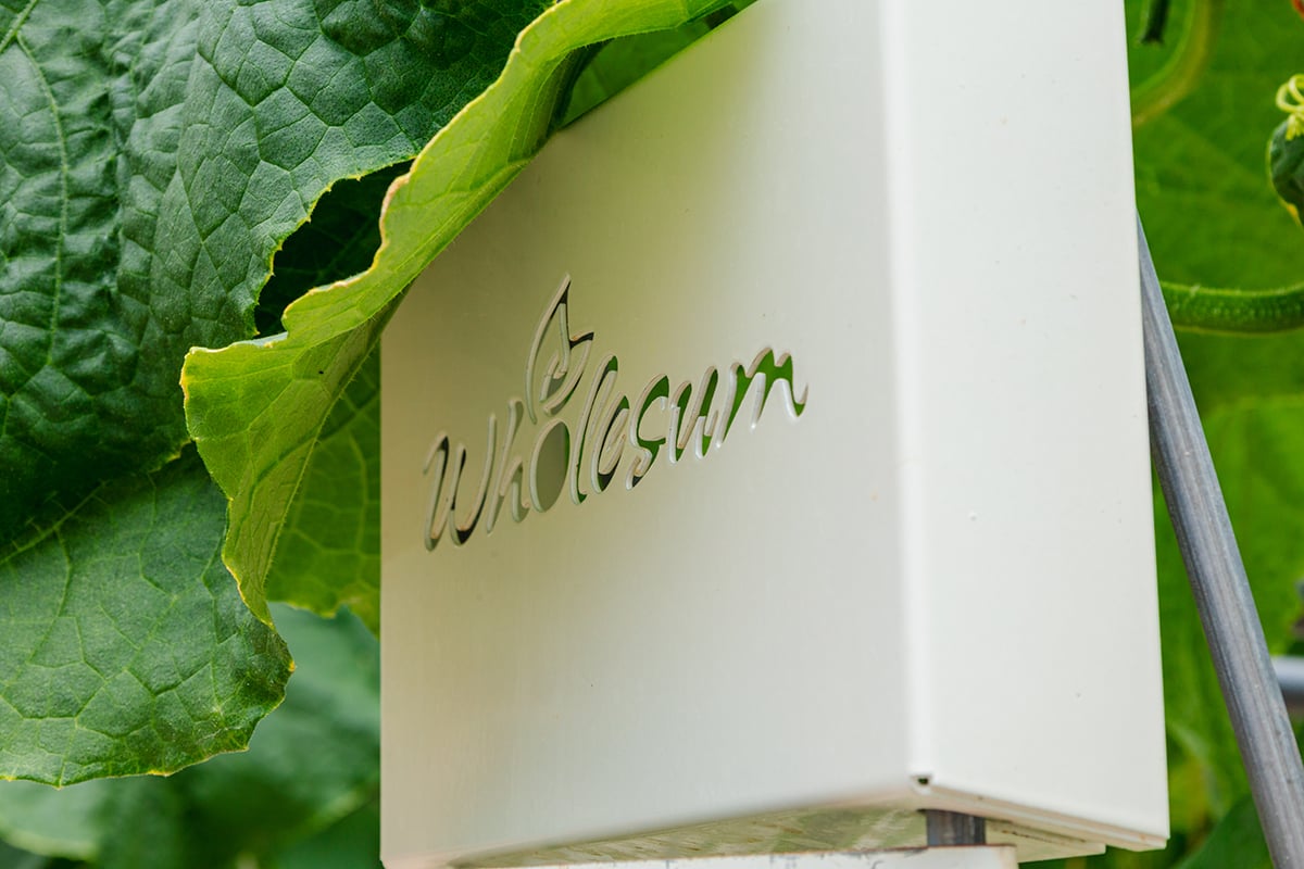 A close-up of a white, rectangular device with the word 