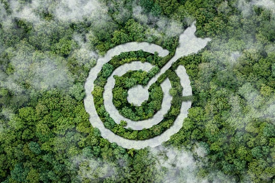 A target with a white center and black outlines, set against a backdrop of dense green forest. The target is oriented towards the right side of the image.