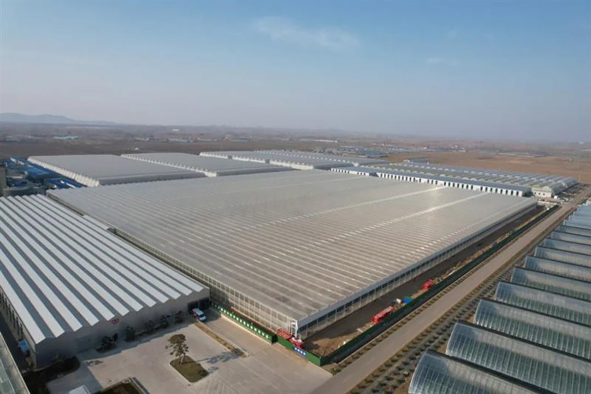 Luchtfoto van een grootschalig hightech-kasproject dat momenteel in ontwikkeling is. De foto geeft vanuit de lucht een beeld van de omvang, de structuur en de moderne teeltinfrastructuur van het project.