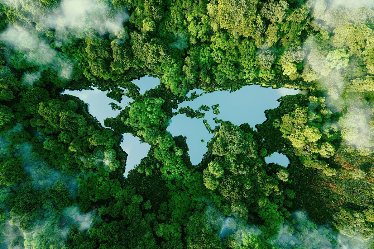 op de foto zijn allemaal groene bossen te zien en de vorm van de wereld uitgesneden. Aan de bovenkant komt er een stukje wolk. 