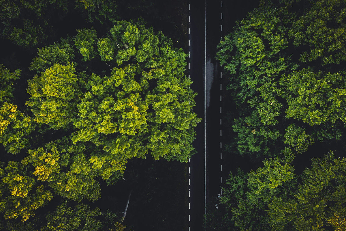 An aerial view of a road cutting through a dense forest. The road is marked by a single white line down the center, providing a stark contrast to the surrounding greenery. The forest is a mix of dark and light green trees, possibly indicating a variety of tree species or varying health and age.