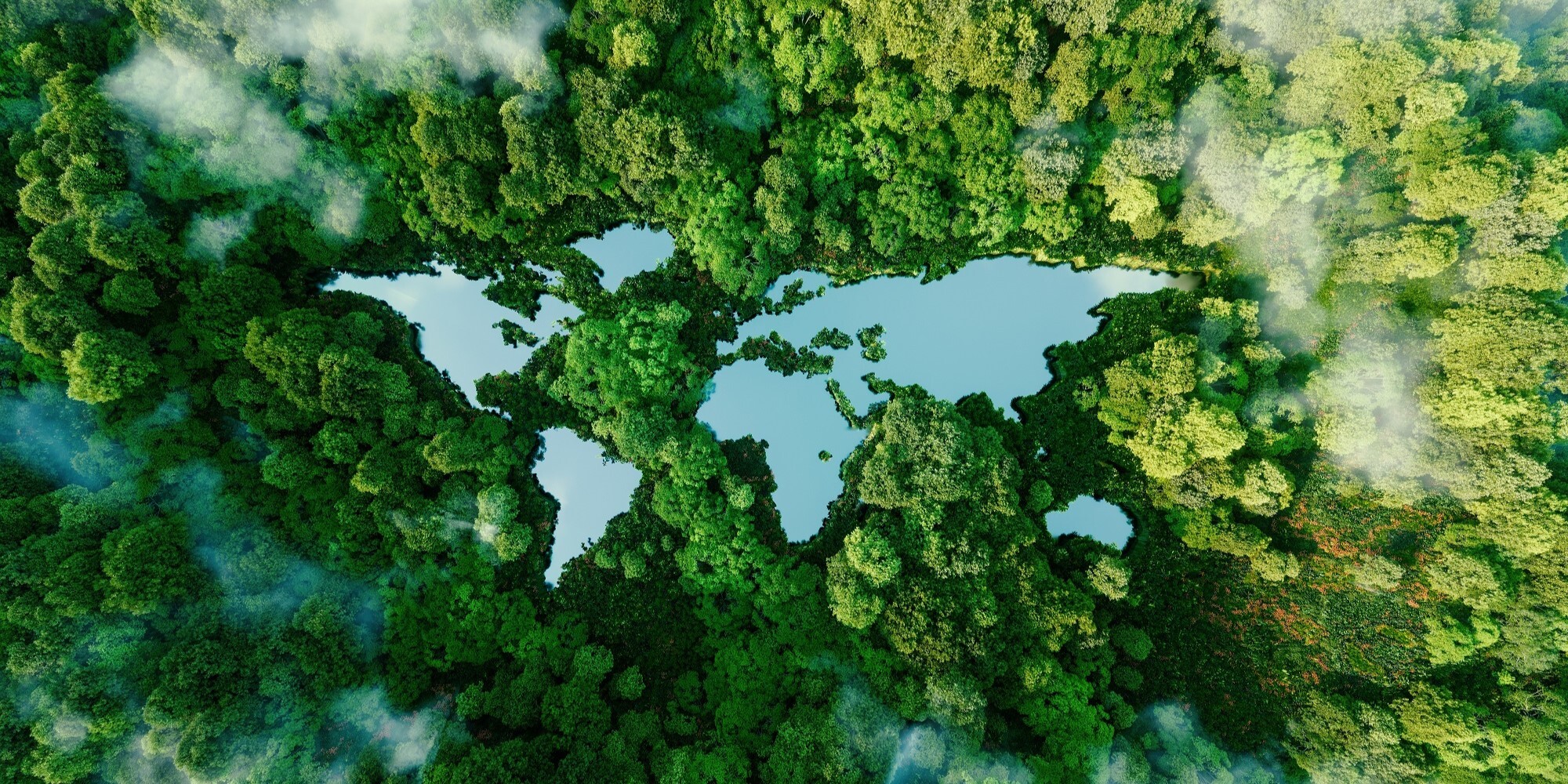 Een dicht groen bos waarin de vorm van de wereldkaart is uitgesneden, waardoor natuur en aarde symbolisch met elkaar verbonden worden.**